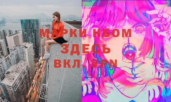 ешки Ельня