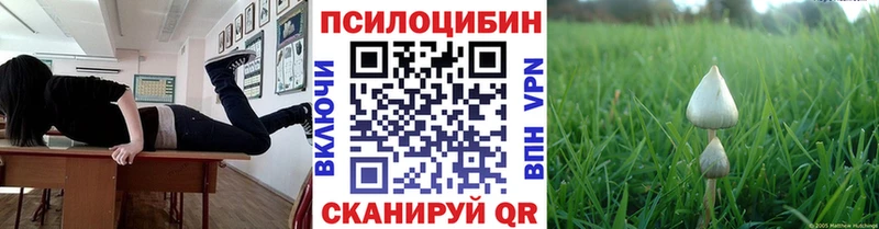 omg зеркало Тихорецк Галлюциногенные грибы мицелий