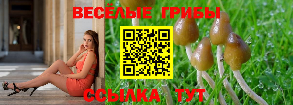 Псилоцибиновые грибы Psilocybine cubensis Тихорецк