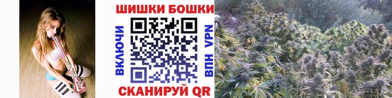 купить наркотики цена  Тихорецк  Каннабис план 