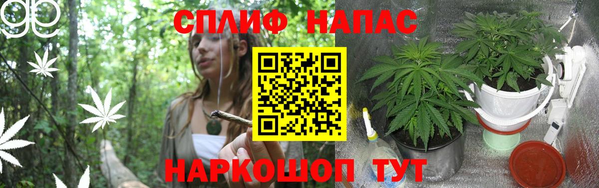 Шишки марихуана Ganja Тихорецк